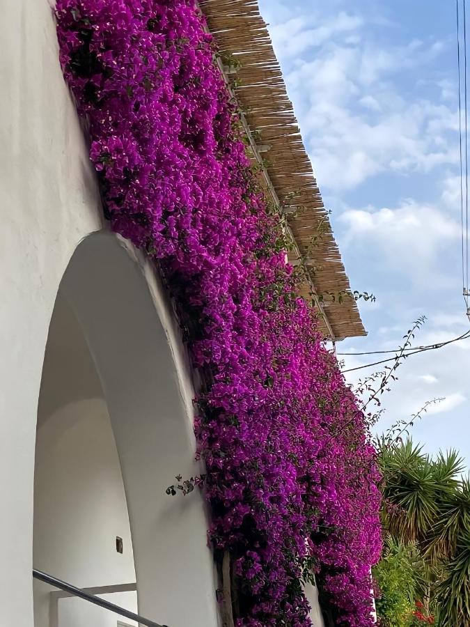 Appartement Roberhouse Tragara 37 à Capri Extérieur photo